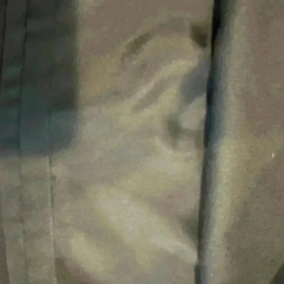 Banana Republic Lined Skirt with Gold accent Buttons (Size 4) - Picture 5 of 15